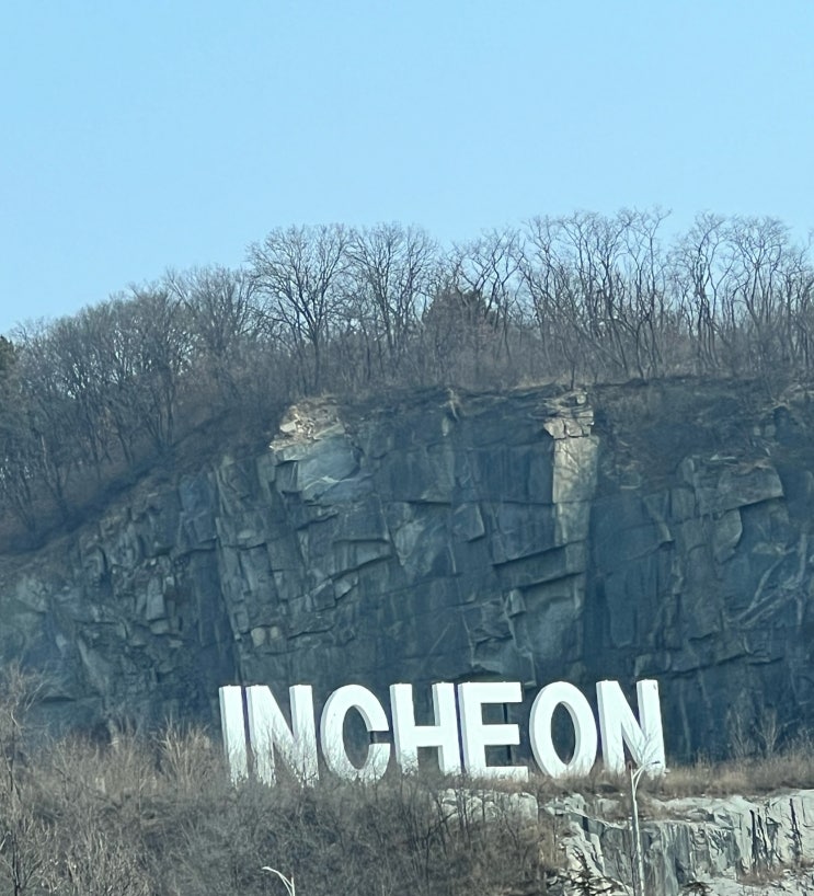  [강화도 여행 1편] 강화도 맛집 | 강화손칼국수