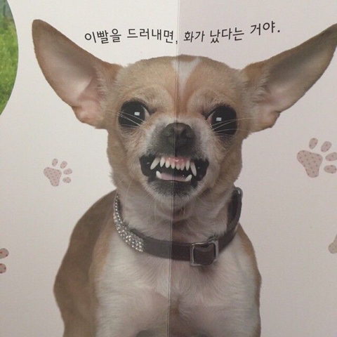  일상- 초콜릿 만들어봄 ㅋ