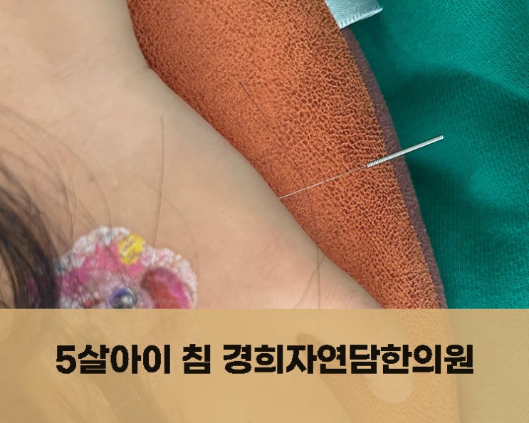  5살아이 목에 담 경희자연담한의원