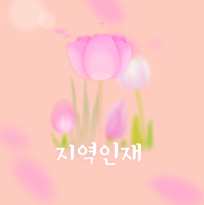  지역인재전형의 모든것