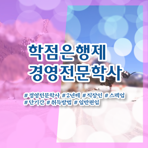  학은제 자격증 경영학 취업 알아보셨나요 !