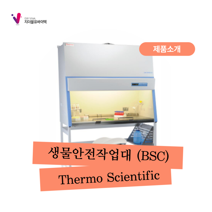 [Thermo Scientific] 생물안전작업대 (BSC)