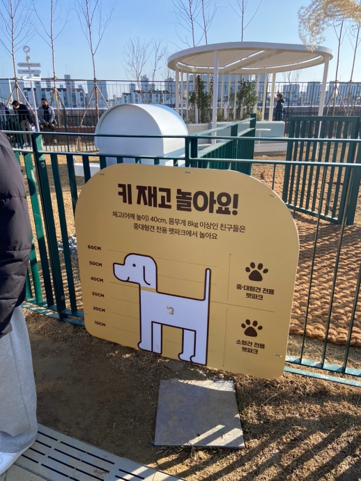 수원 강아지산책장소 추천 스타필드 펫파크 방문후기(주차꿀팁)