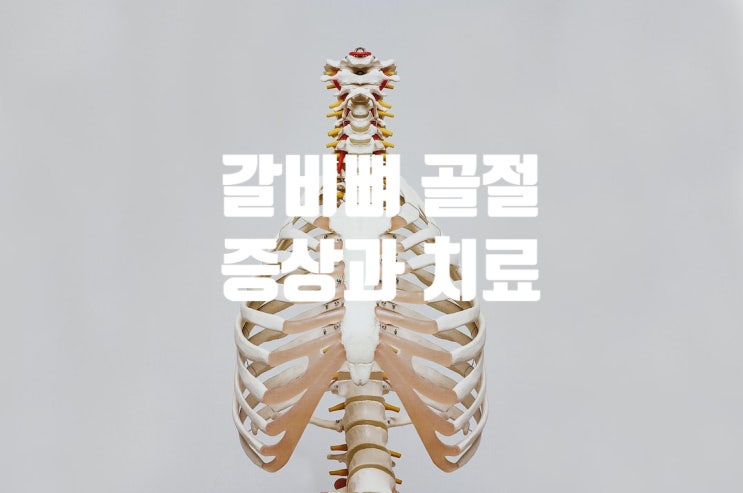  갈비뼈 늑골 골절 증상 치료 회복기간