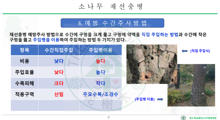  소나무제선충병 예방주사의 종류 및 비교