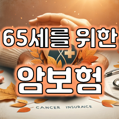  65세암보험 가입, 추천 상품 가격 확인 및 다른 상품 비교 가능