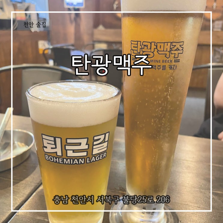  불당동 수제맥주와 안주가 다 맛있던 탄광맥주