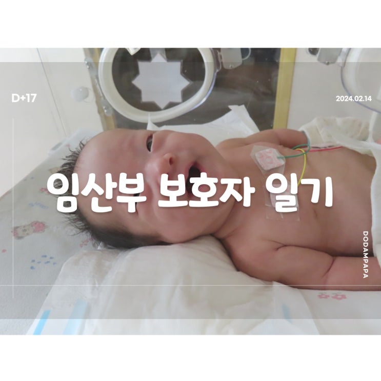 2024.02.14 임산부 보호자 일기 D+17일 2024.02.14 임산부 보호자 일기 D+17일