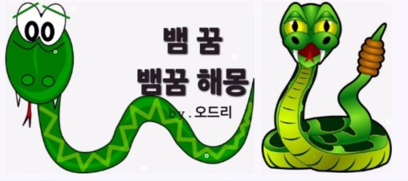 뱀꿈 뱀에물리는꿈 뱀에쫒기는꿈 뱀나오는꿈 뱀이집에들어오는꿈 흰뱀꿈 검은뱀꿈 뱀꿈해....