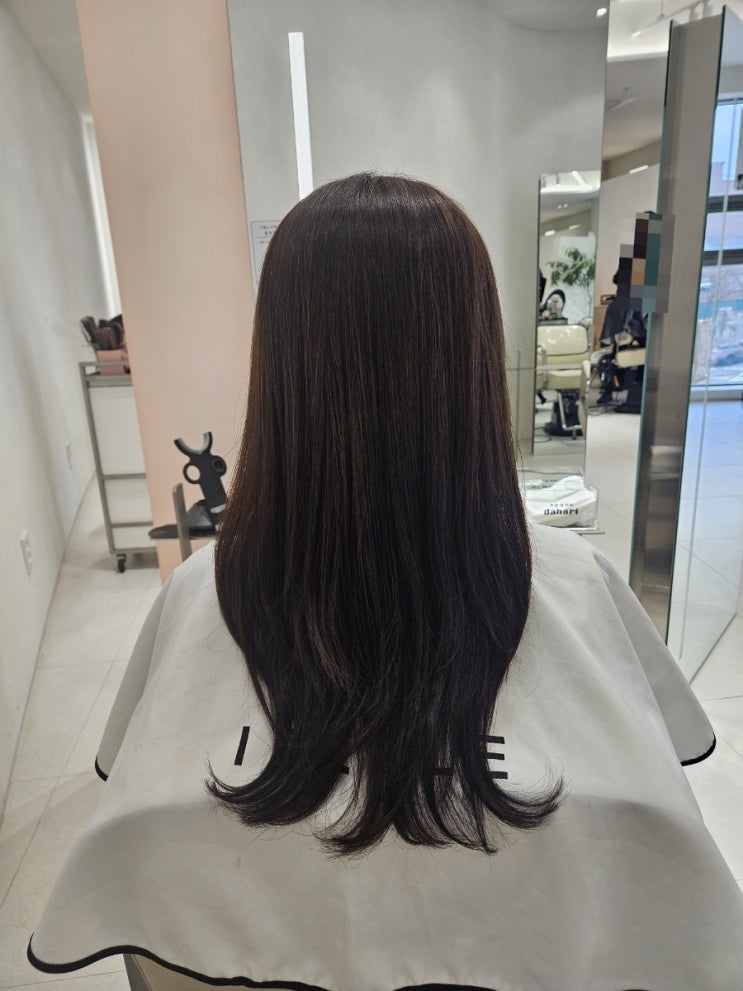옥수동미용실 아이벨르 옥수점 애쉬 매트 브라운 전체 염색 옥수동미용실 아이벨르 옥수점 애쉬 매트 브라운 전체 염색