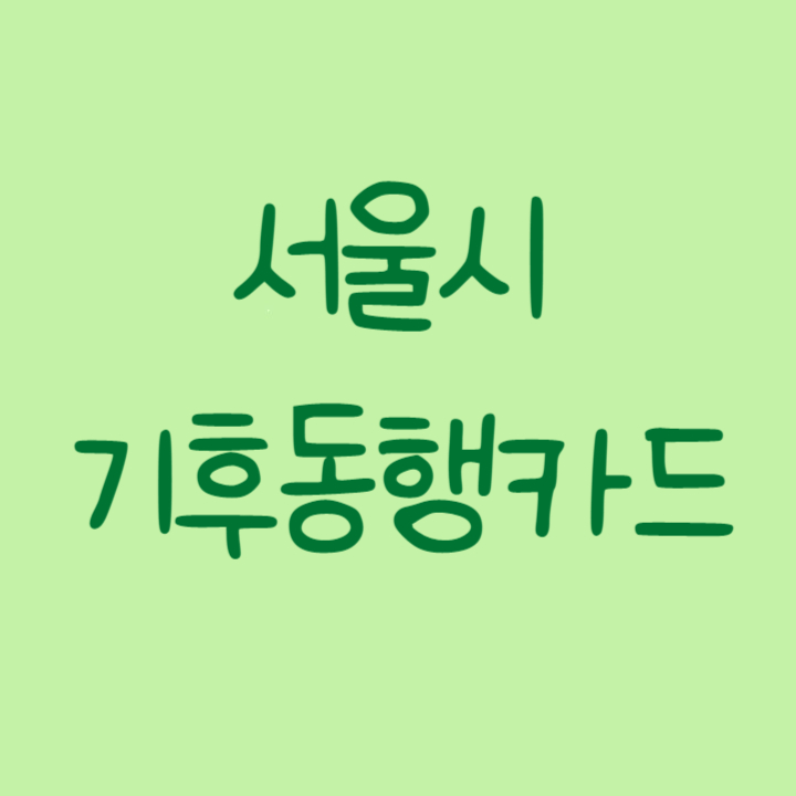  서울시 기후동행카드(월 62,000원) 발급 및 충전방법