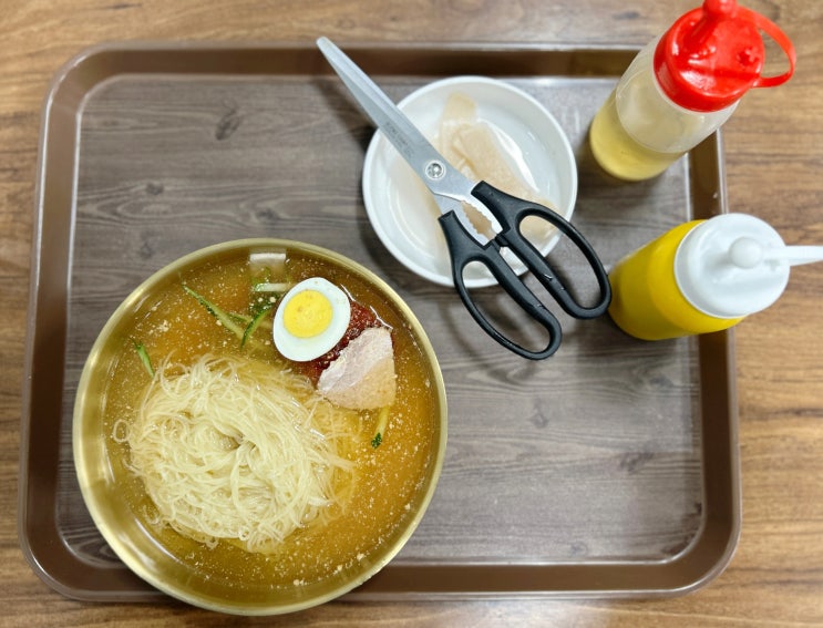  [울산 울주군 덕하 맛집] 태화강 밀면 | 물밀면