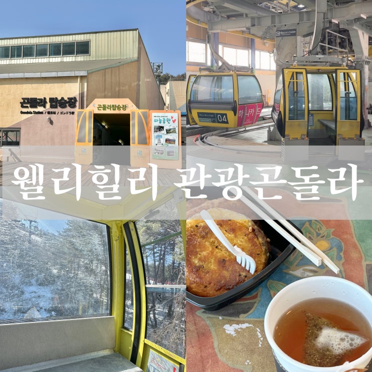  횡성 웰리힐리파크 부대시설 관광 곤돌라 리프트권 가격 할인 전망대 카페 메뉴