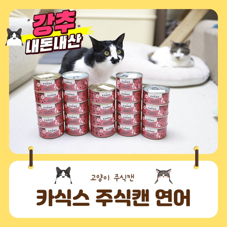  건강하고 기호성좋은 고양이주식캔 카식스!! 제가 질러보았어요