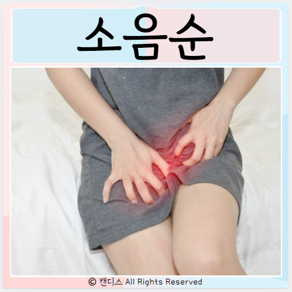  소음순 유착 원인 증상 치료 관리방법