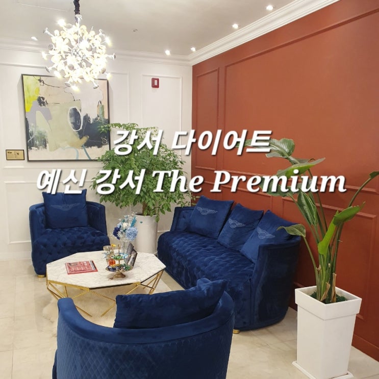  강서 다이어트 예신 강서 the Premium :: 건강한 체온업 다이어트 비뚜관리 & E-Tub 스파