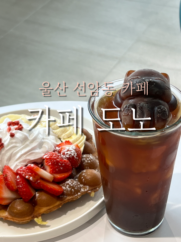 울산 남구 선암동카페 푸짐한 홍콩와플 곰돌이 라떼 카페 도노