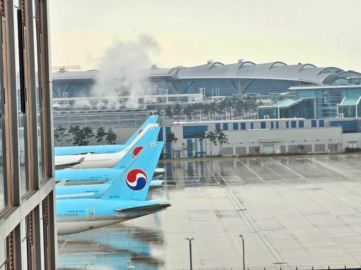 인천공항 2터미널 새벽 비행편 추천 뷰 호텔 이비스 스타일 앰배서더 인천 에어포트 셔틀 인천공항 2터미널 새벽 비행편 추천 뷰 호텔 이비스 스타일 앰배서더 인천 에어포트 셔틀