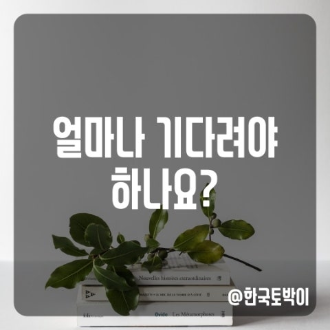  여행영어 얼마나 기다려야 하나요? 영어로