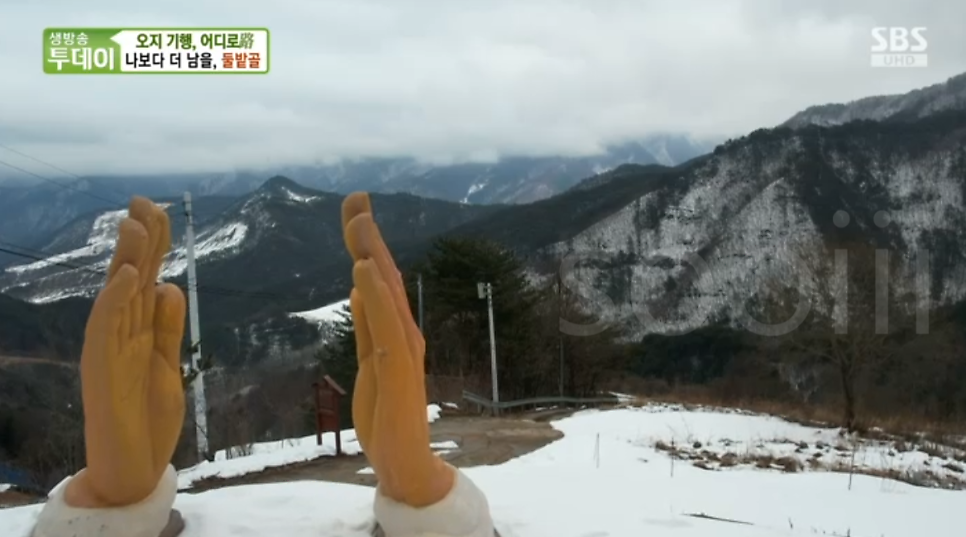둘밭골 사진 6