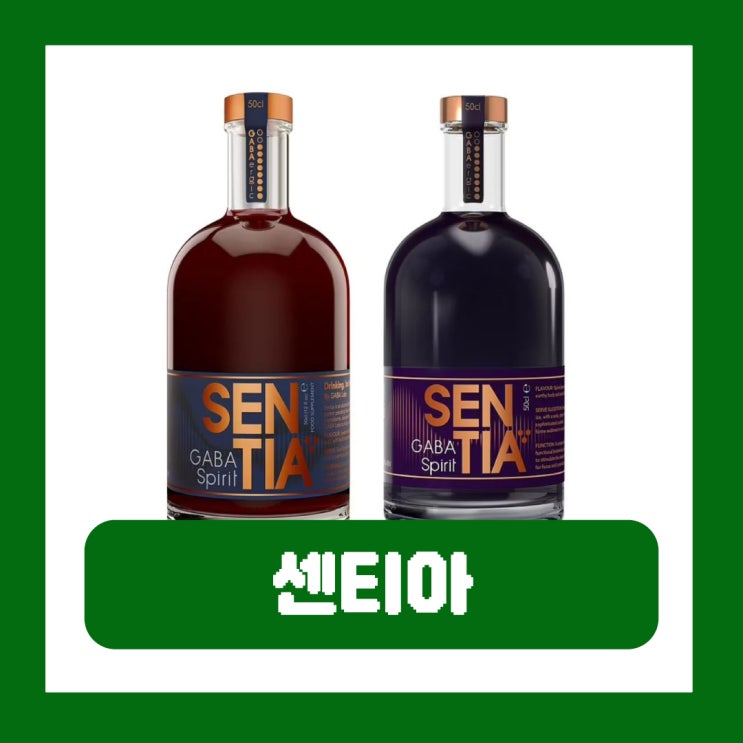  음주 후 숙취 원인 제거한 숙취없는 술 영국 센티아