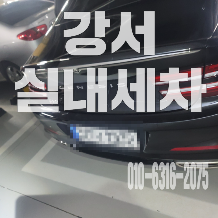  강서실내세차 자동차 강아지 오줌 얼룩 냄새 제거 가죽 시트 탈거