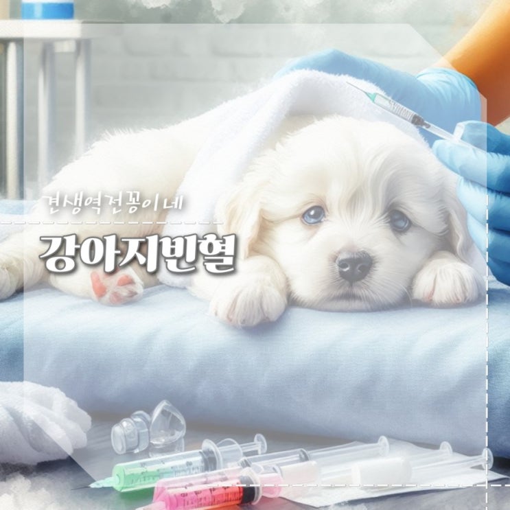  강아지빈혈증상 원인 빈혈강아지한테 좋은 음식 영양제