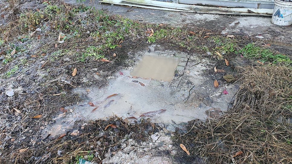대밭골 사진 3