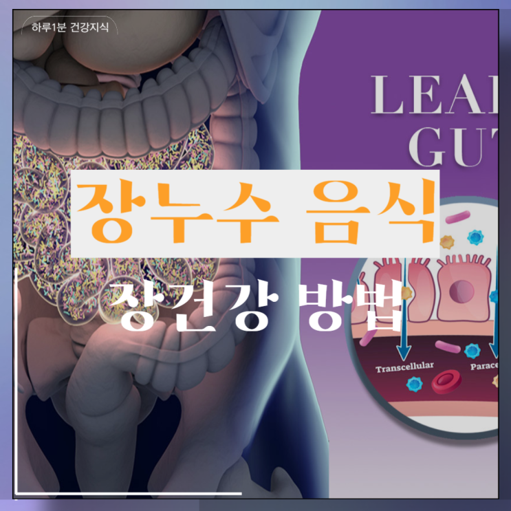  장누수 음식 장건강 방법 9가지
