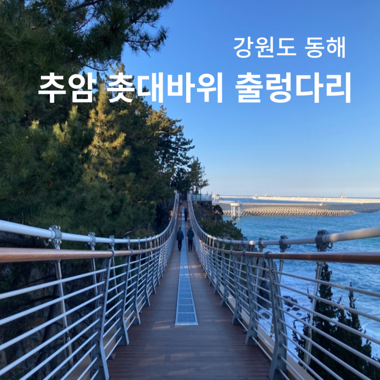  동해 추암 촛대바위 출렁다리 조각공원 운영시간