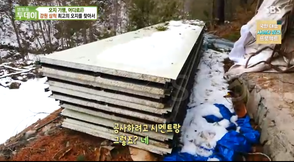 둘밭골 사진 1