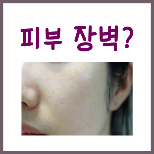  피부장벽 무너짐, 집에서 바로 가능한 '3가지' 개선법