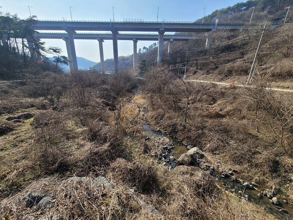 신백년 사진 5