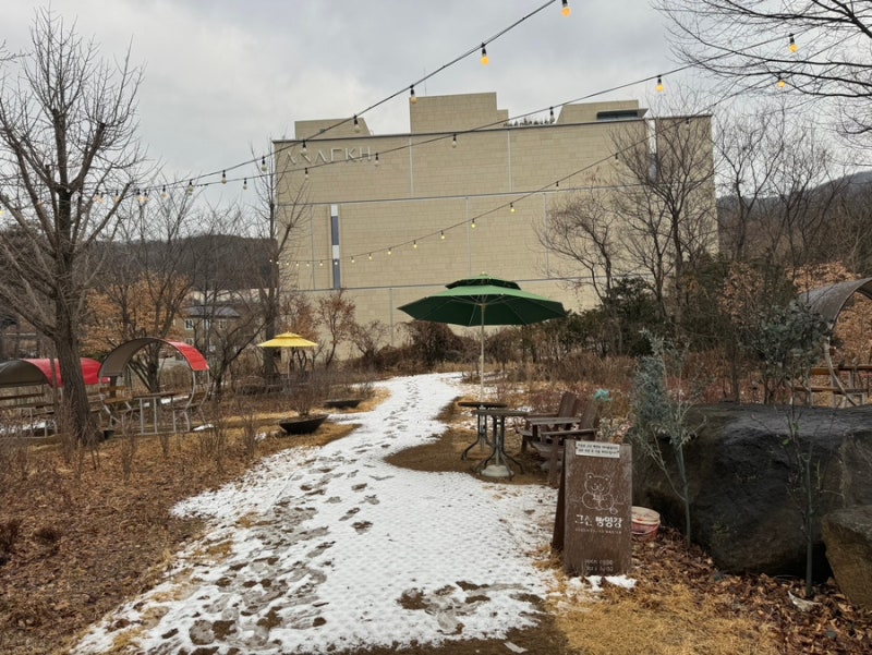 이미지 24534678