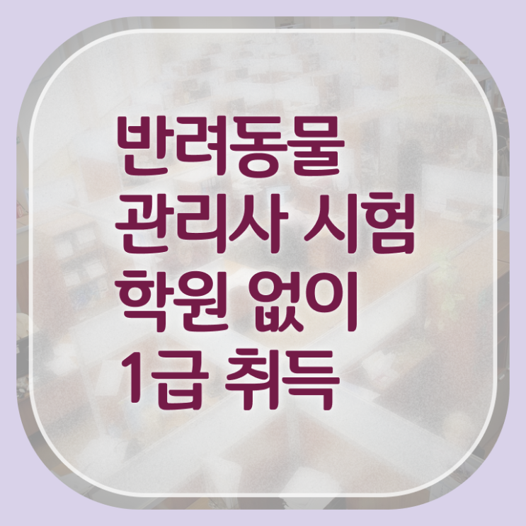  반려동물 반려동물 인구 반려동물관리사 자격증 취득 필수 정보 여기에 ?!