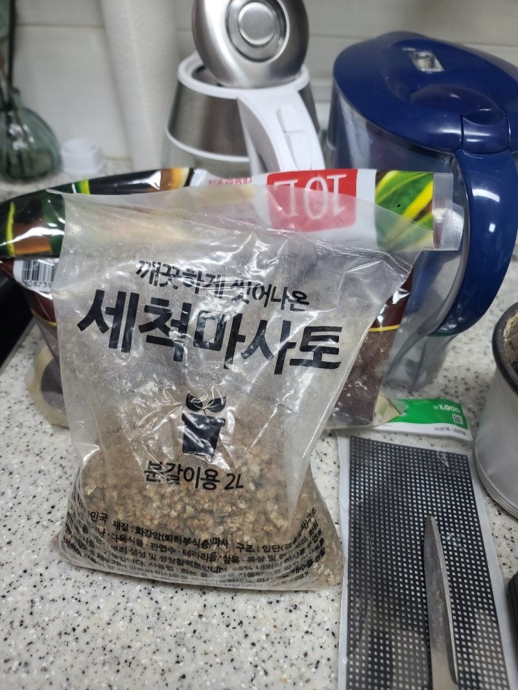 [쿠팡리뷰] 집안 식물 플라스틱 화분 갈이 해주기 (몬스테라, 로즈마리 키우기)