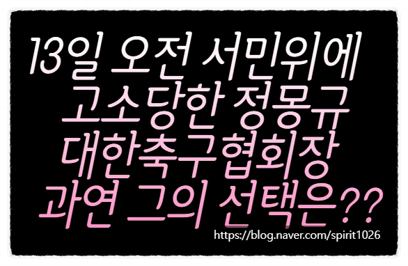 무능한 클린스만 감독 임명한 정몽규 대한<b>축구협회장</b>... 