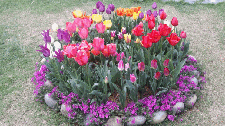 아름다운 여수시내독채펜션 꽃망울 피우는 정원이예쁜독채펜션