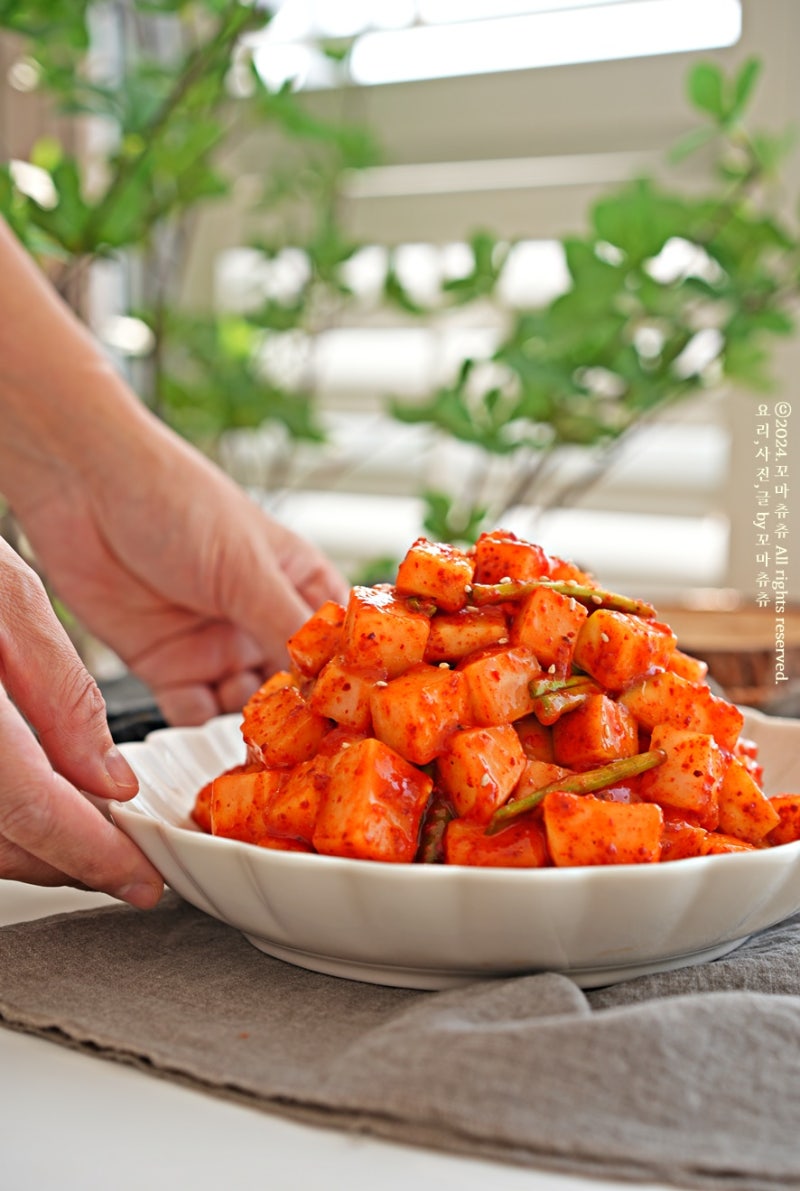 무김치 깍두기 담그는법 맛있게 깍두기 담그기 레시피 김치 양념