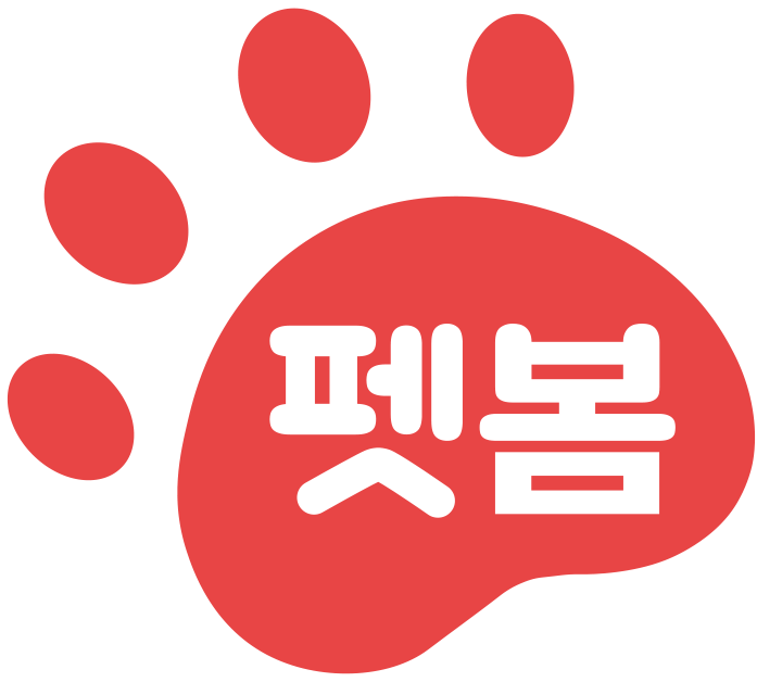 사진 2