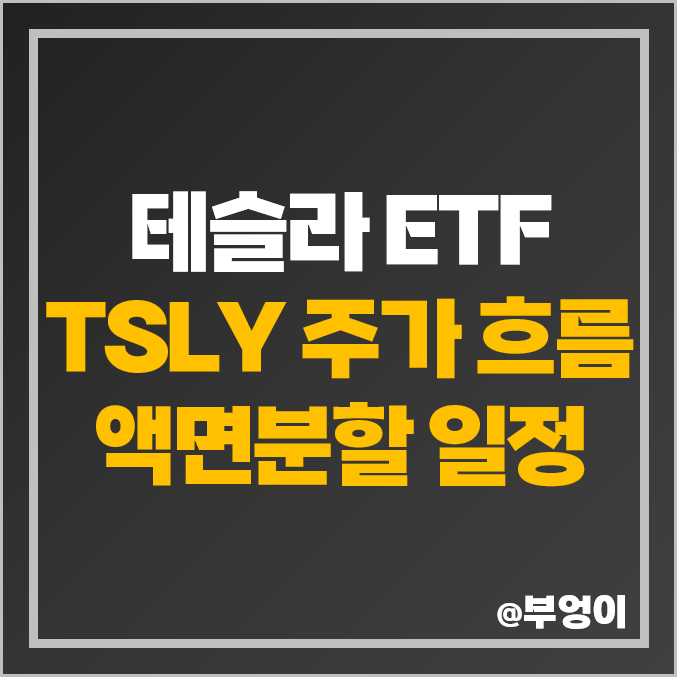 테슬라 관련주 액티브 ETF TSLY 주식 액면병합 호재? 배당락일 테슬라 관련주 액티브 ETF TSLY 주식 액면병합 호재? 배당락일