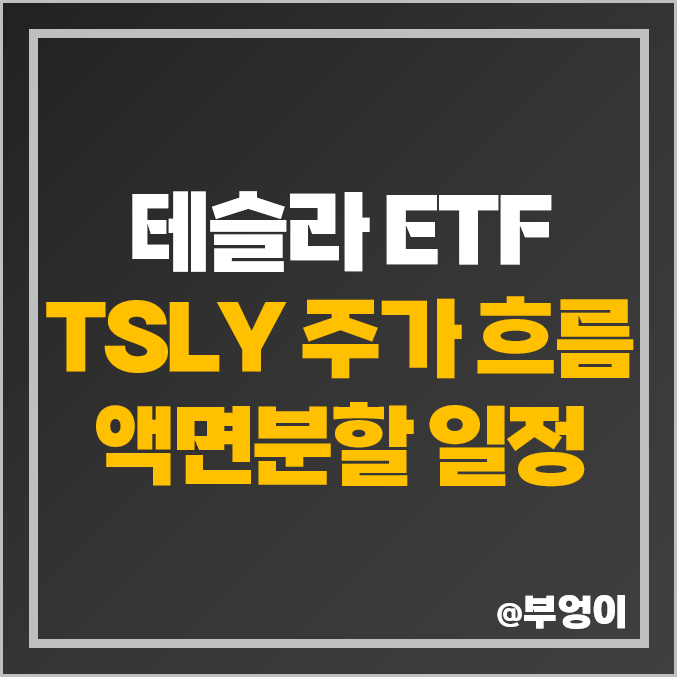 테슬라 관련주 액티브 ETF TSLY 주식 액면병합 호재? 배당락일