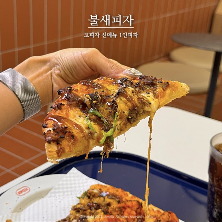  평촌학원가 가성비 혼밥하기 좋은 고피자 신메뉴 불새피자 후기