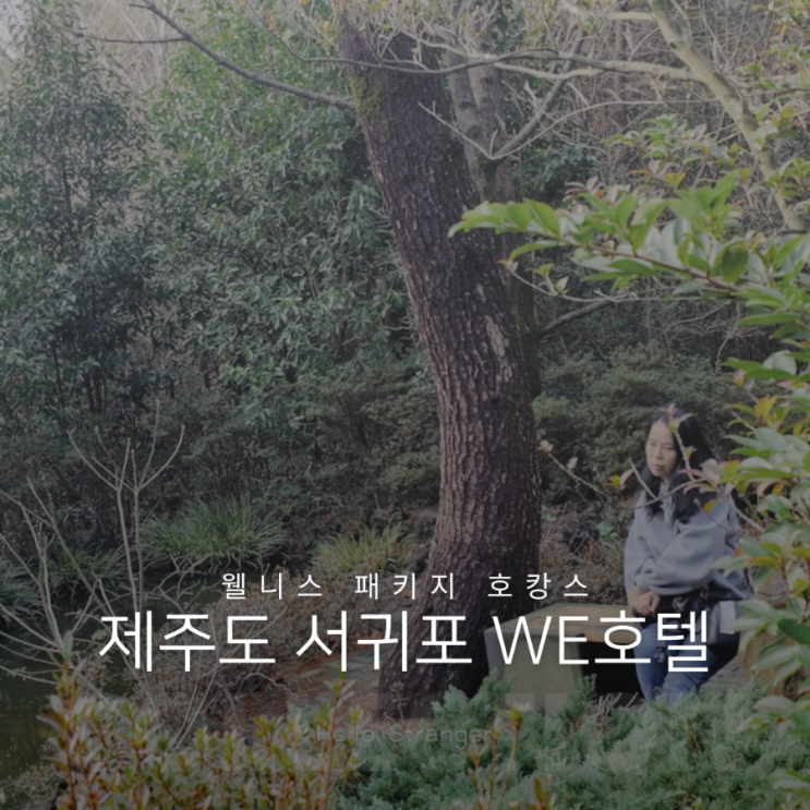  제주도 WE 호텔 웰니스 패키지 추천 이유 및 후기