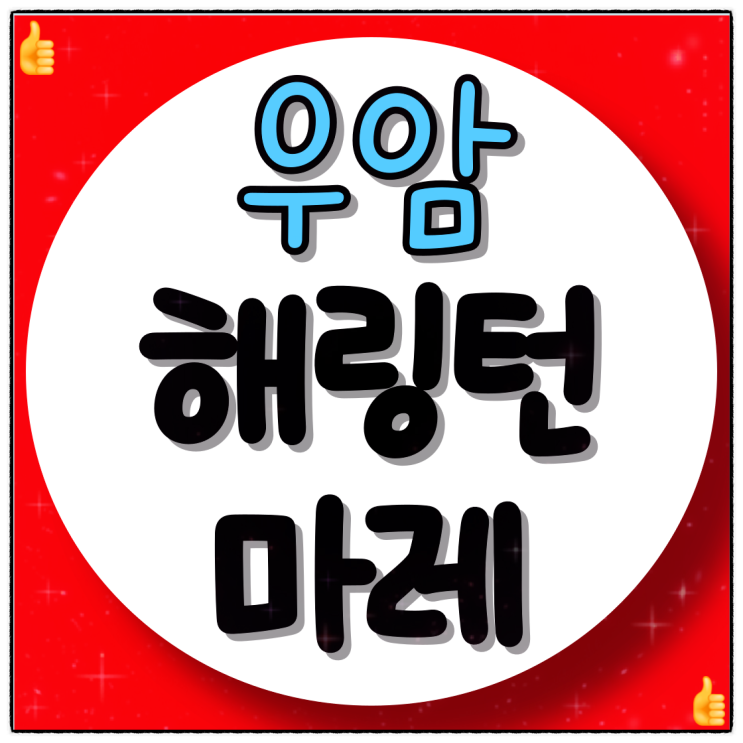 우암 해링턴 마레 부산 북항 재개발의 수혜자