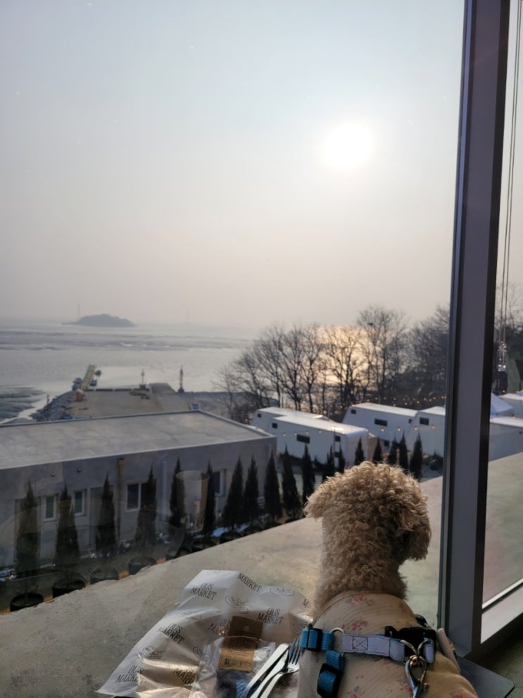  석모도 가볼만한곳 오우스마켓 보문사 근처 애견동반 카페