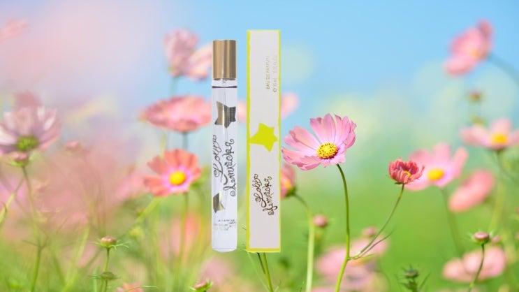  롤리타 렘피카 오드퍼퓸 15ML