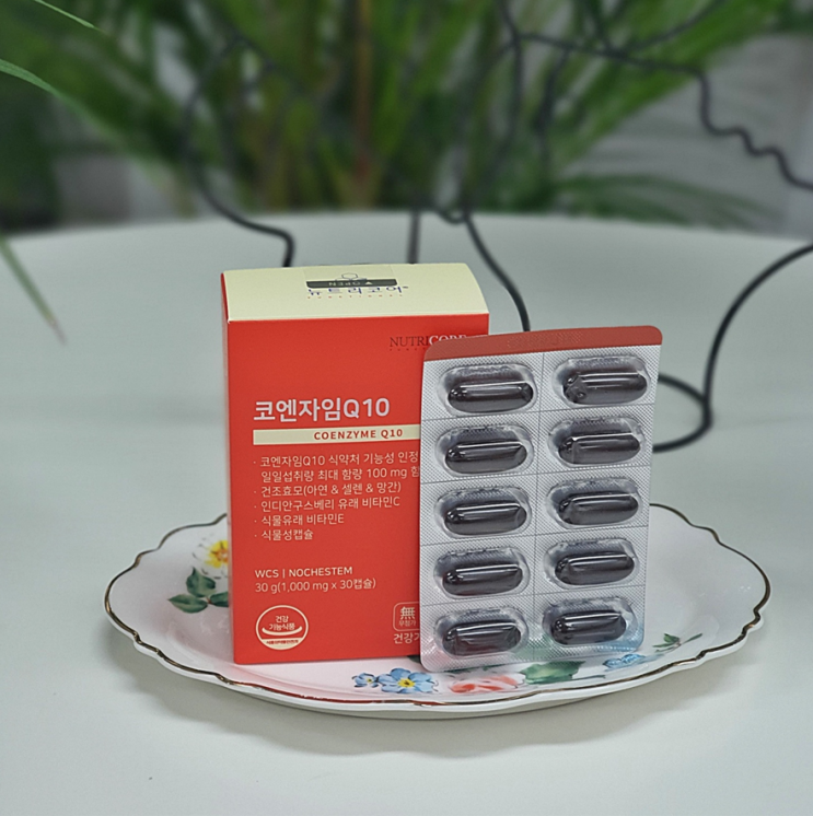  코엔자임Q10 효능 코큐텐 추천 먹는시간