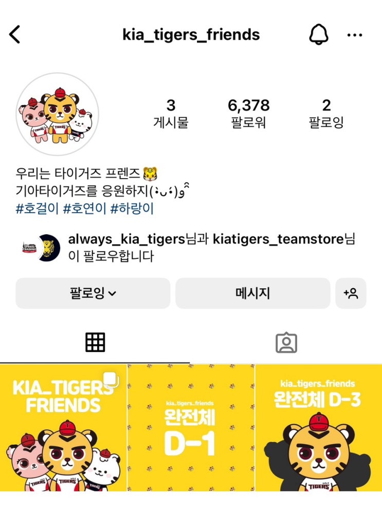  기아타이거즈 호걸이 호연이 새로운 캐릭터 하랑이 인스타주소