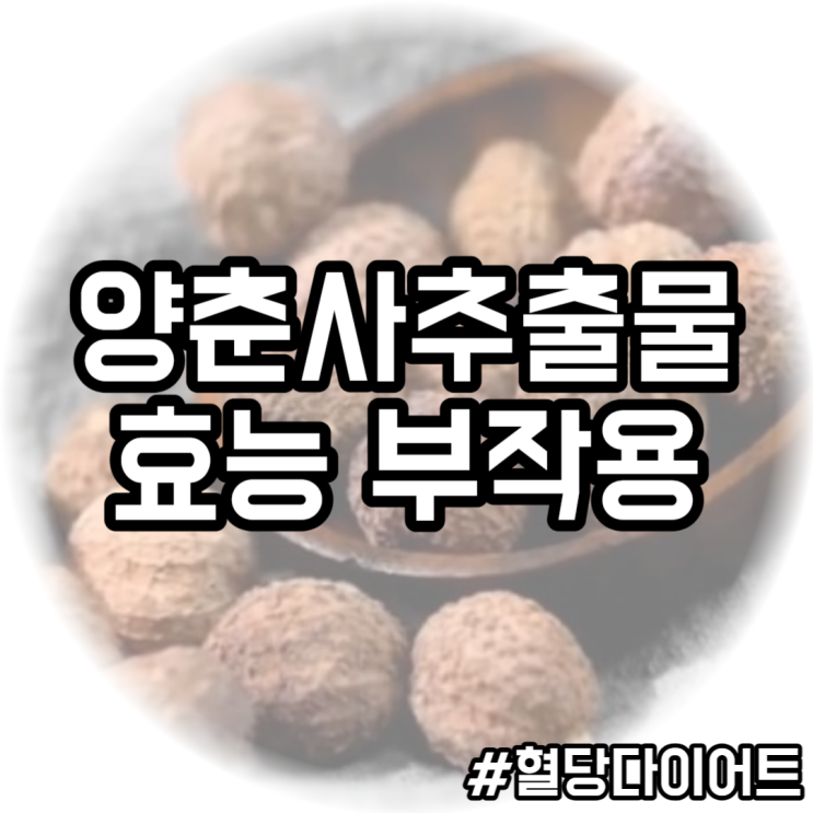  혈당 다이어트를 위한 새로운 파트너, 양춘사(楊春薩)추출물!